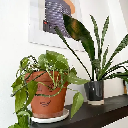 Lejlighed Cozy Night Jezyce, Blisko Mtp, Self Check-in Poznań