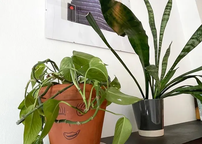 Appartement Cozy Night Jezyce, Blisko Mtp, Self Check-in Poznań